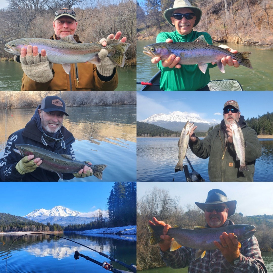 Klamath River Steelhead and Lake Siskiyou Trout