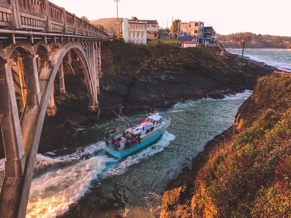 Very early salmon season information 