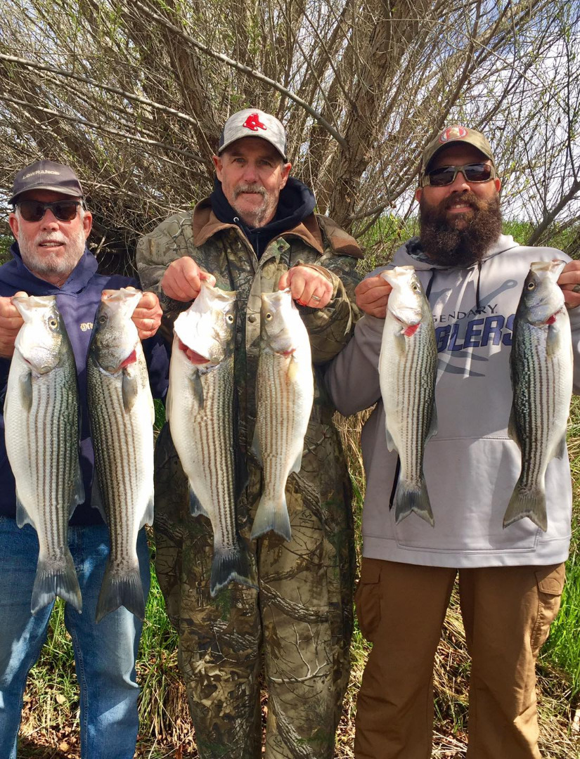 California Delta Fish Report - California Delta - Delta Stripers - March  11, 2021