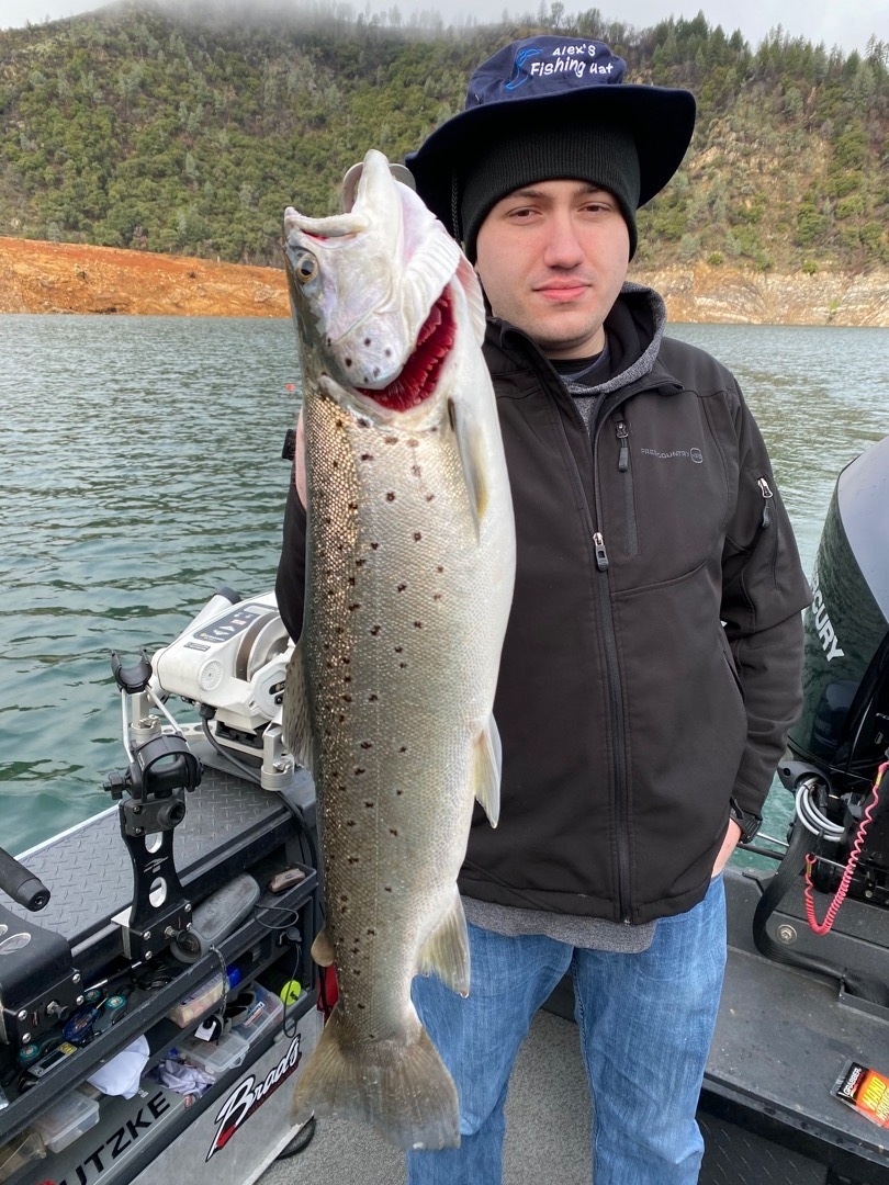 More big browns again today on Shasta Lake!