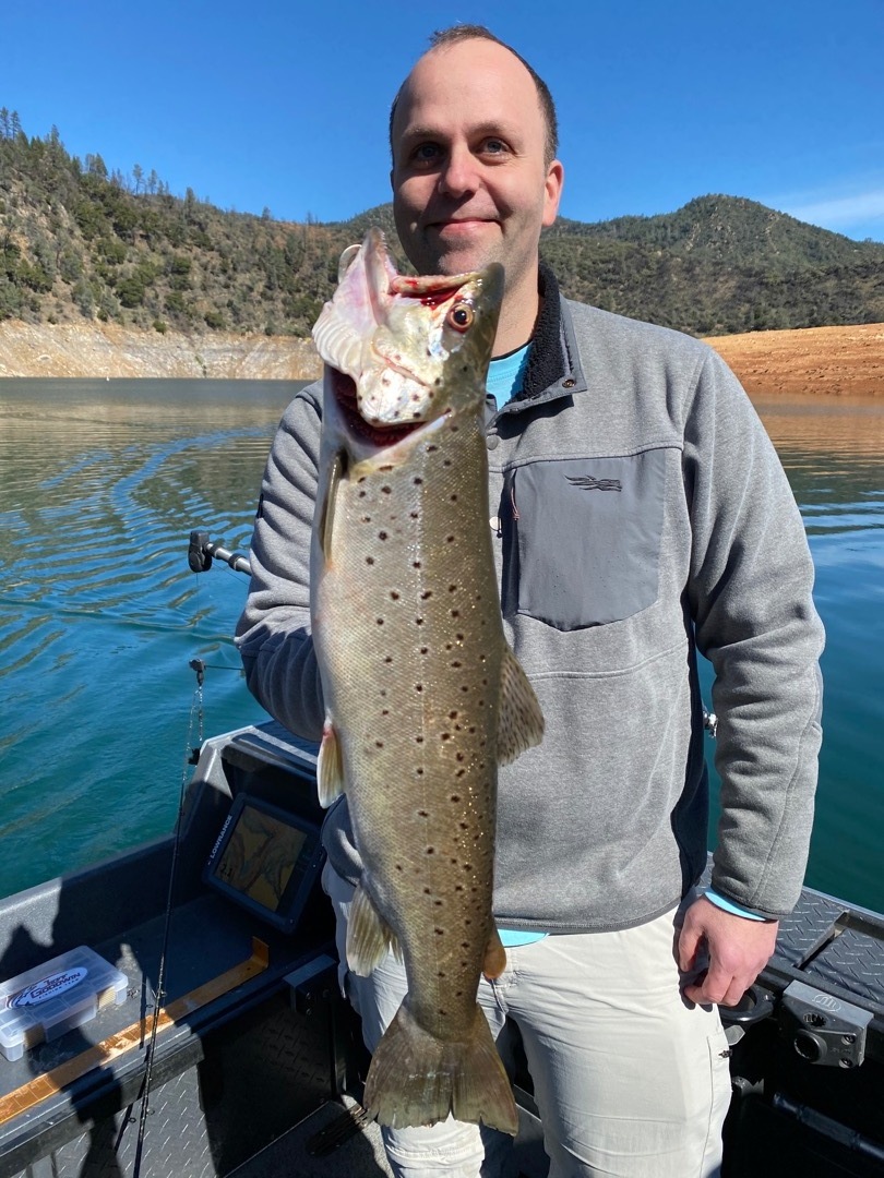 More browns showing on Shasta!