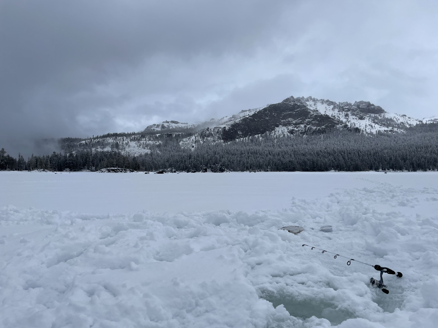 Angler Report: Silver Lake
