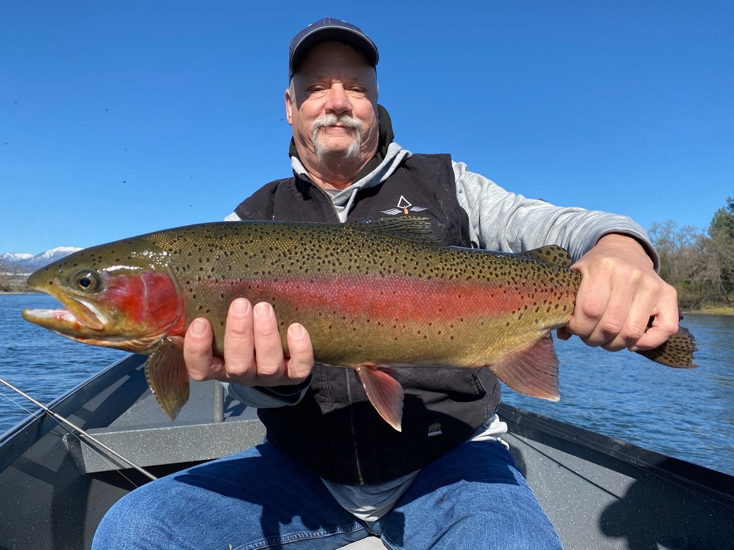 Wild rainbows are heavy this year!