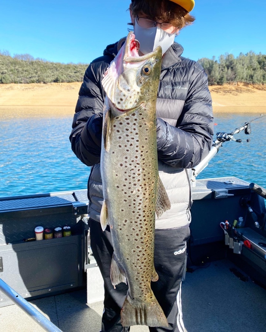 Big browns just keep biting!