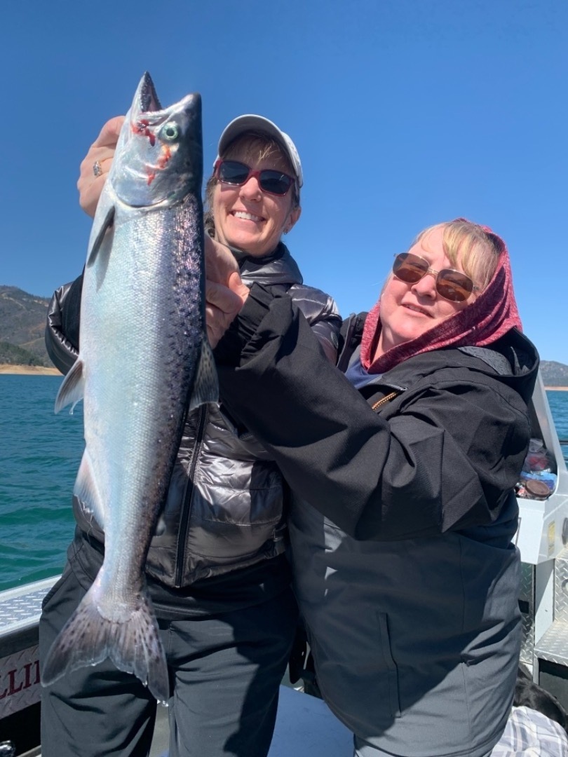 King salmon on Shasta lake 