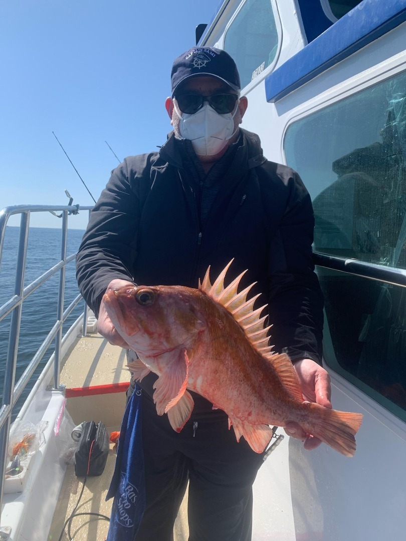 Opener of 2021 Rockfish Season