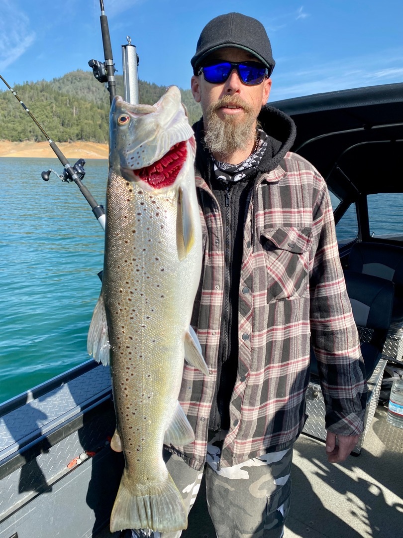 Trout and salmon biting on Shasta!
