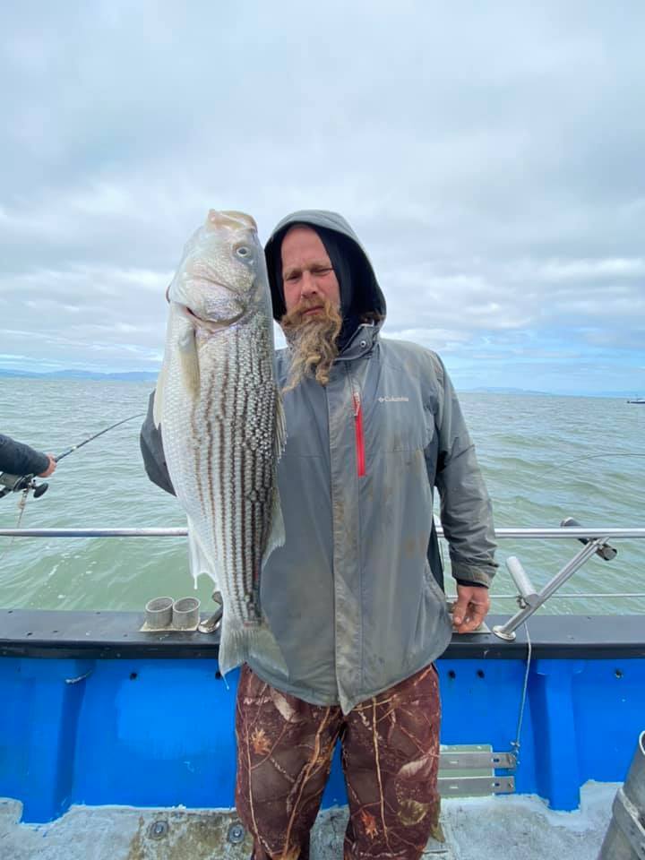 Striped Bass Limits