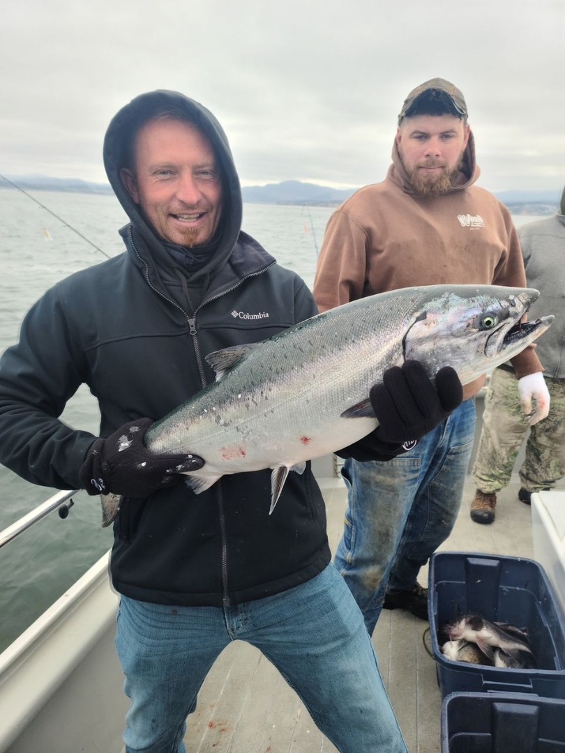 Nice King Salmon Released 