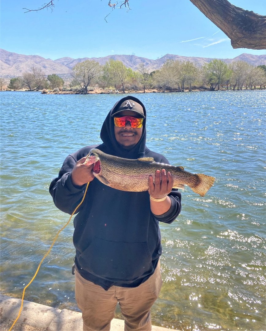 Hesperia Lake Fish Report - Hesperia, CA (San Bernardino County)