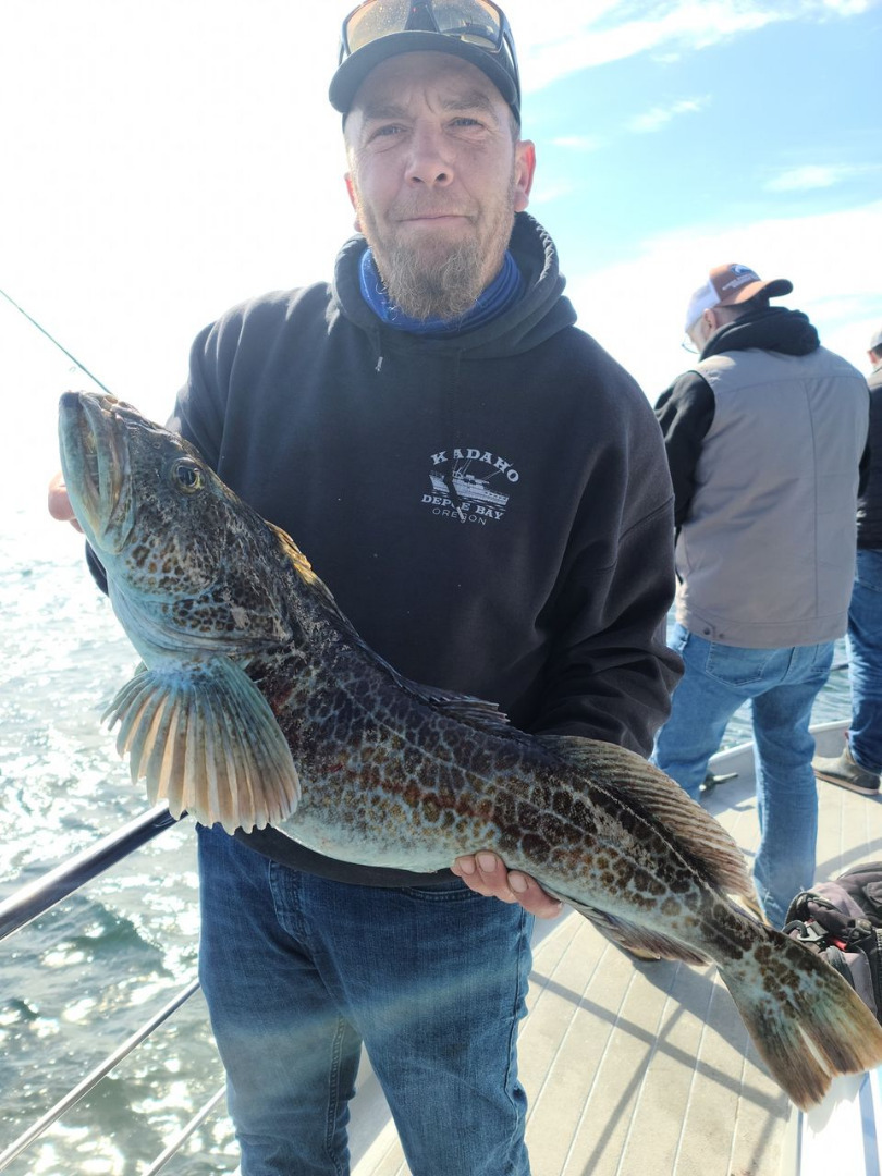 Awesome Lingcod Bite Today