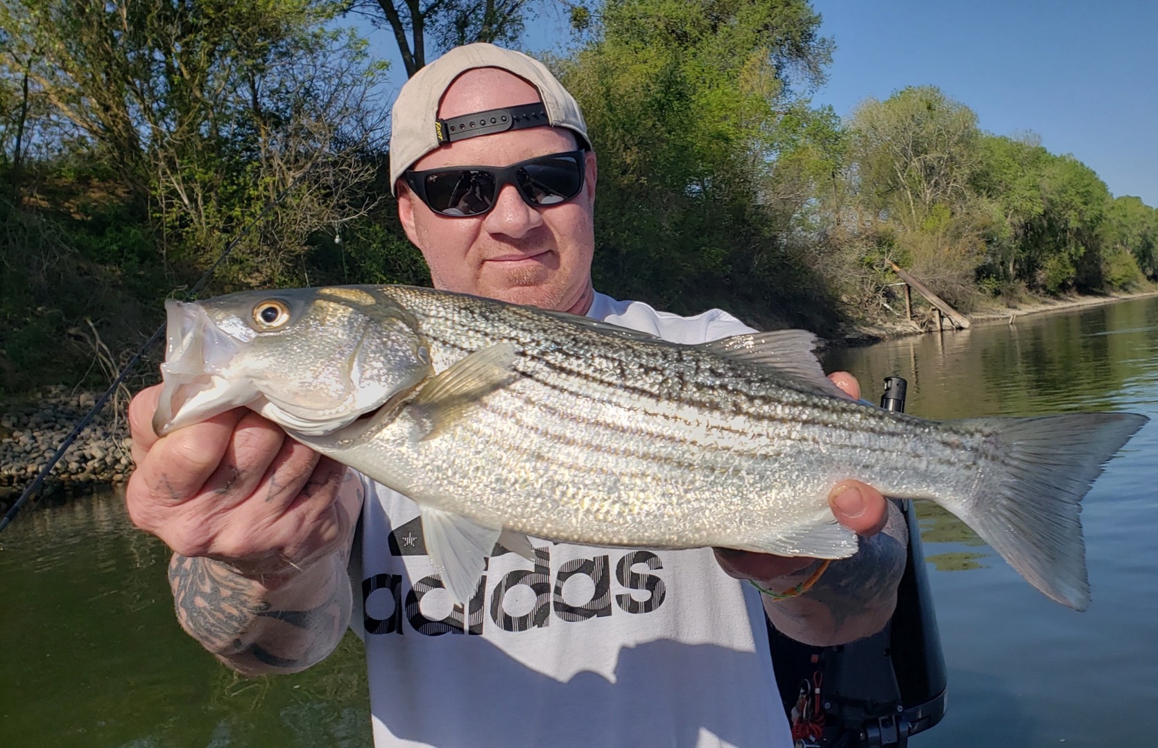 Striper season starts now!