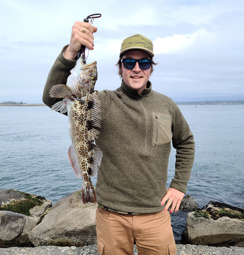 Rockfish Are Snapping at the Jetties