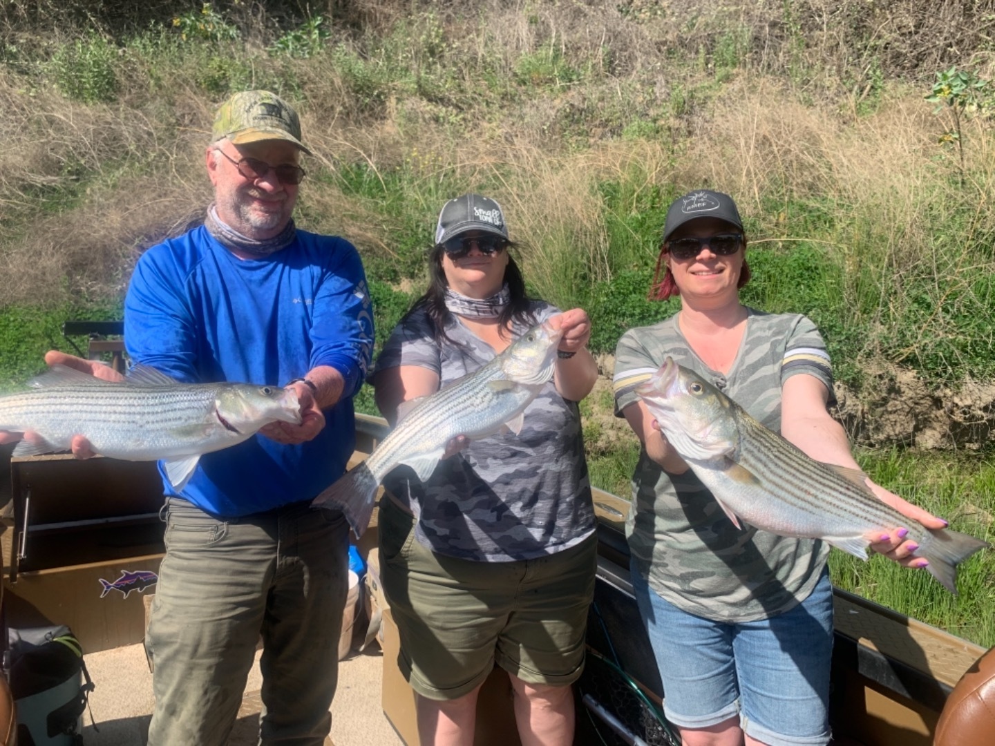 Striped Bass on the Sacramento River 