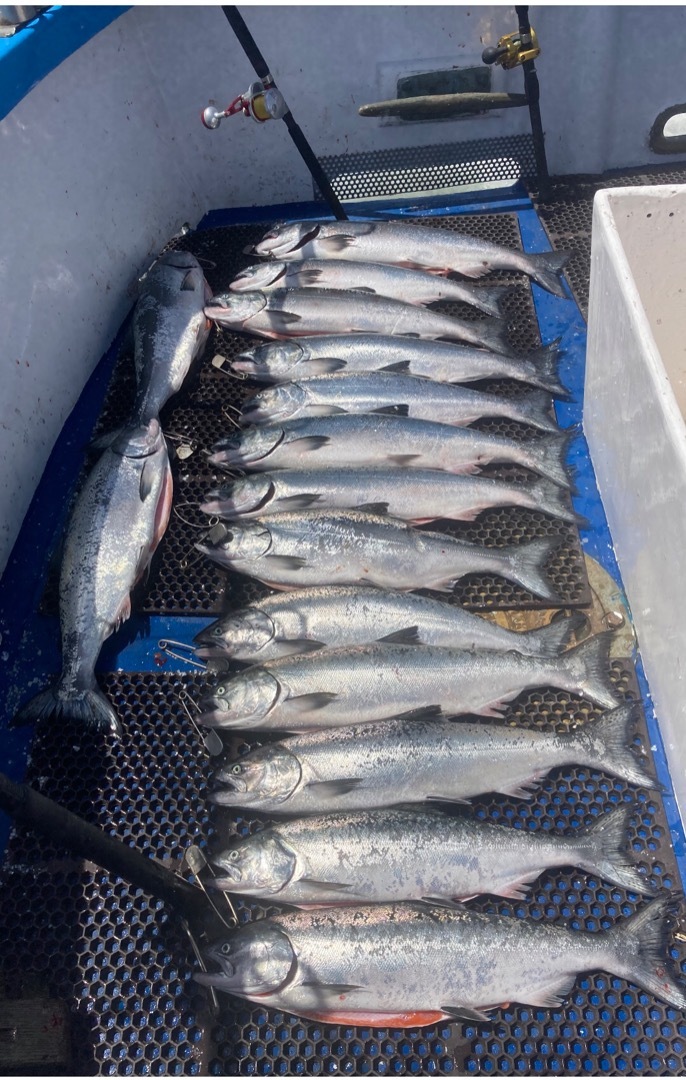 Salmon fishing at Pigeon Point 