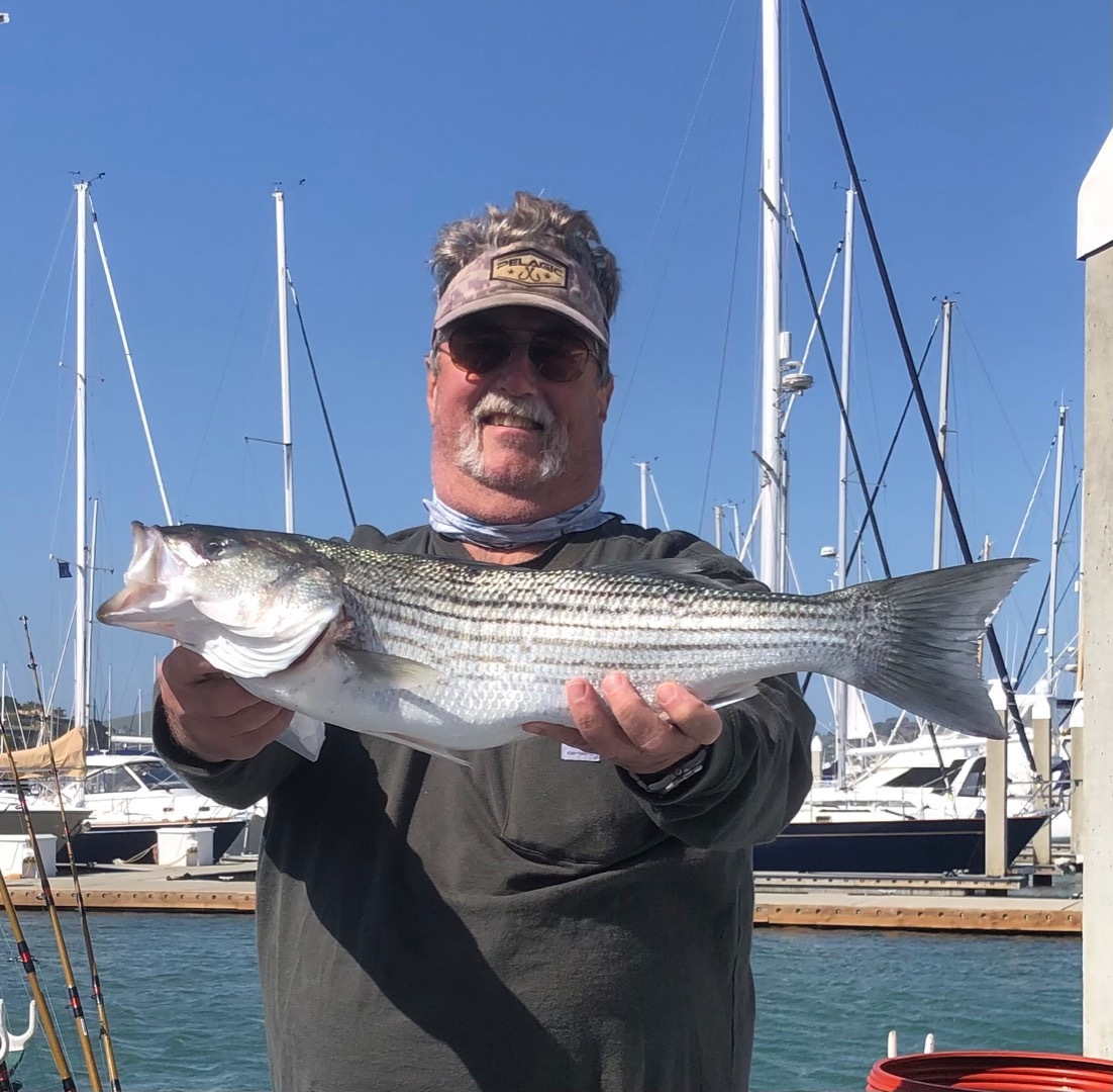 Central Bay Striper LIMITS !! 😎🐟🎣