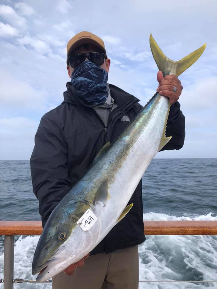 Seaforth Sportfishing Fish Reports