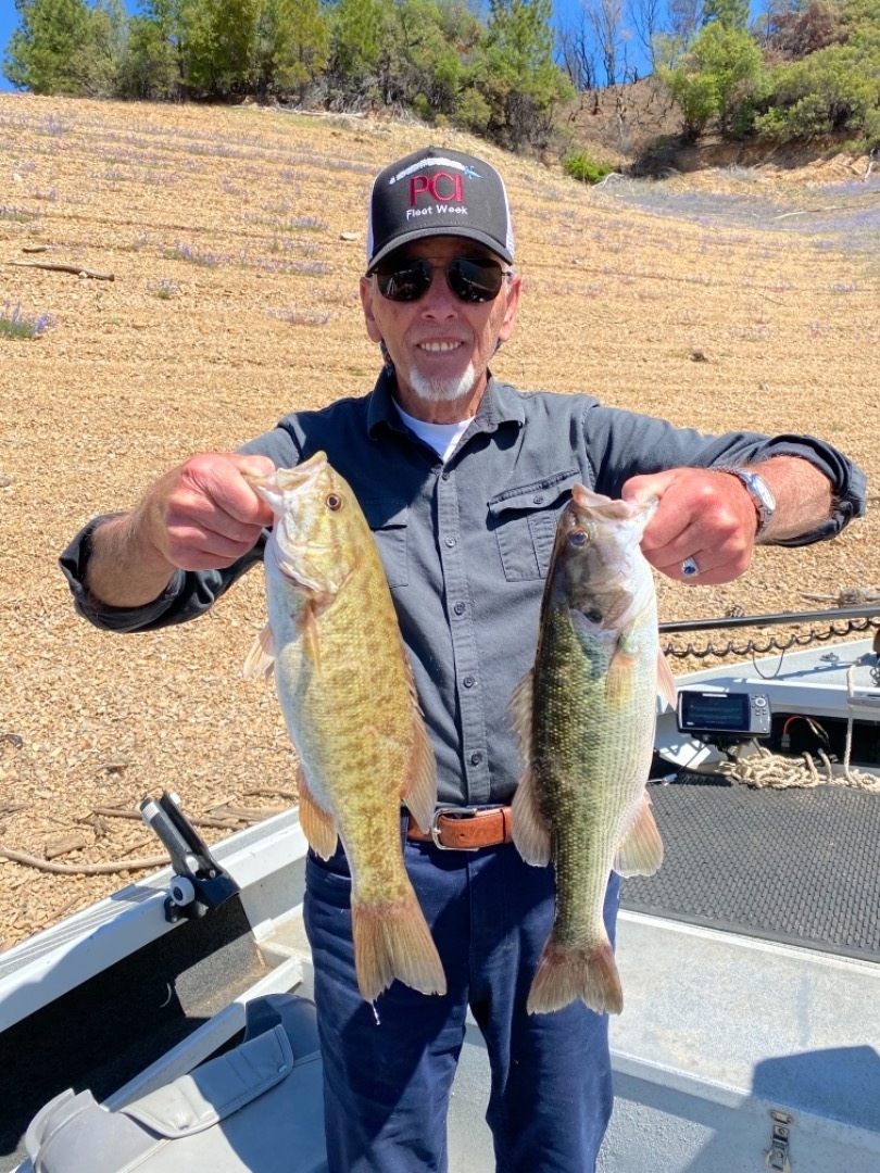 Big Spotted Bass on Shasta Lake