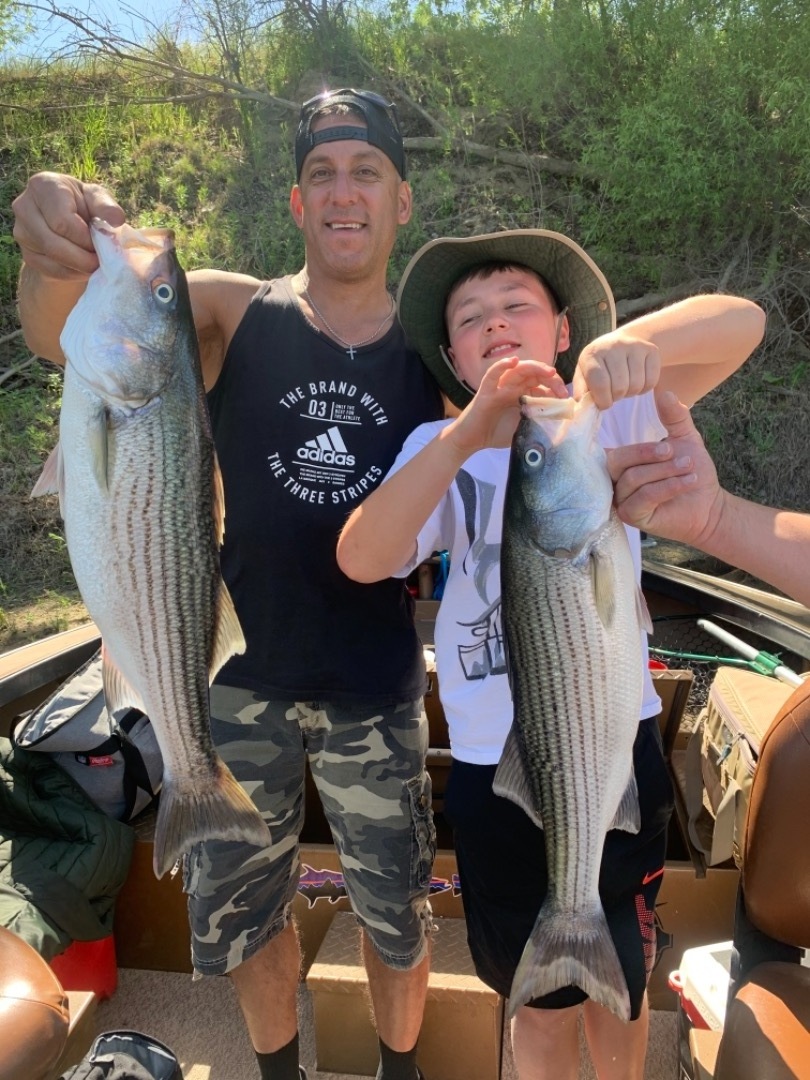 Colusa Striped Bass Fishing on the Sacramento River