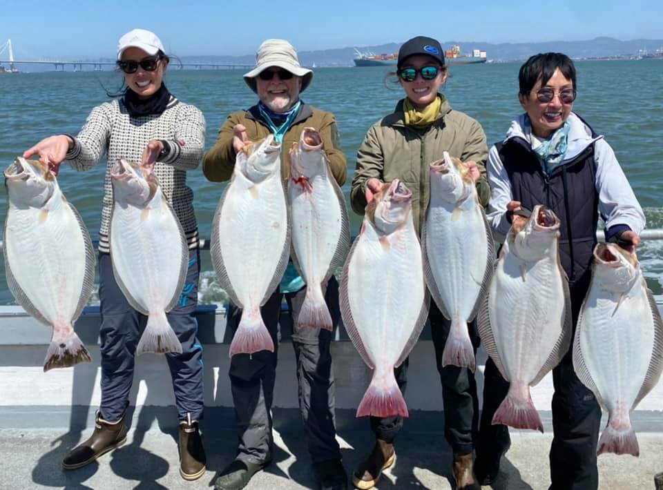 Live Bait Halibut Trip