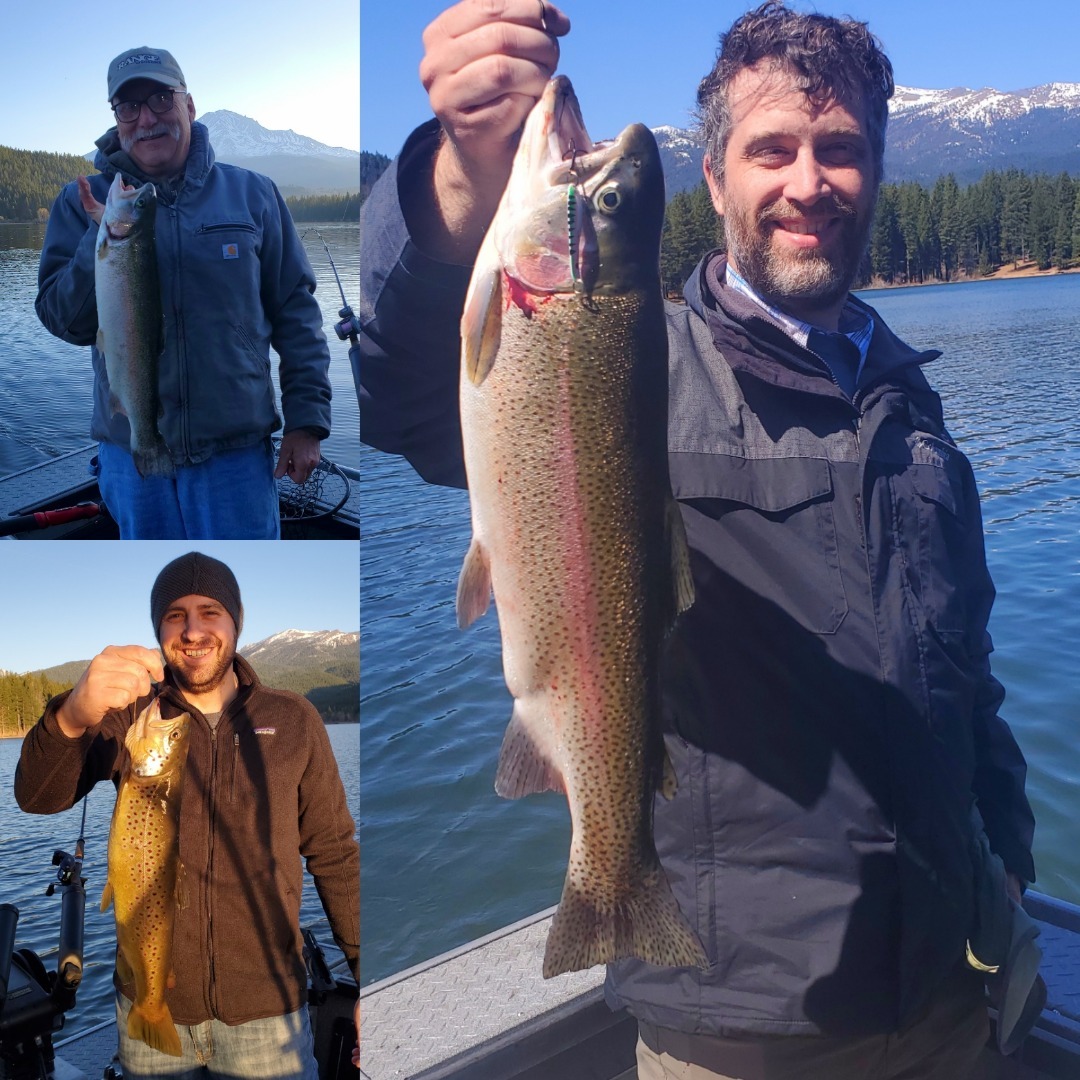 Trout meat you can't beat Lake Siskiyou 