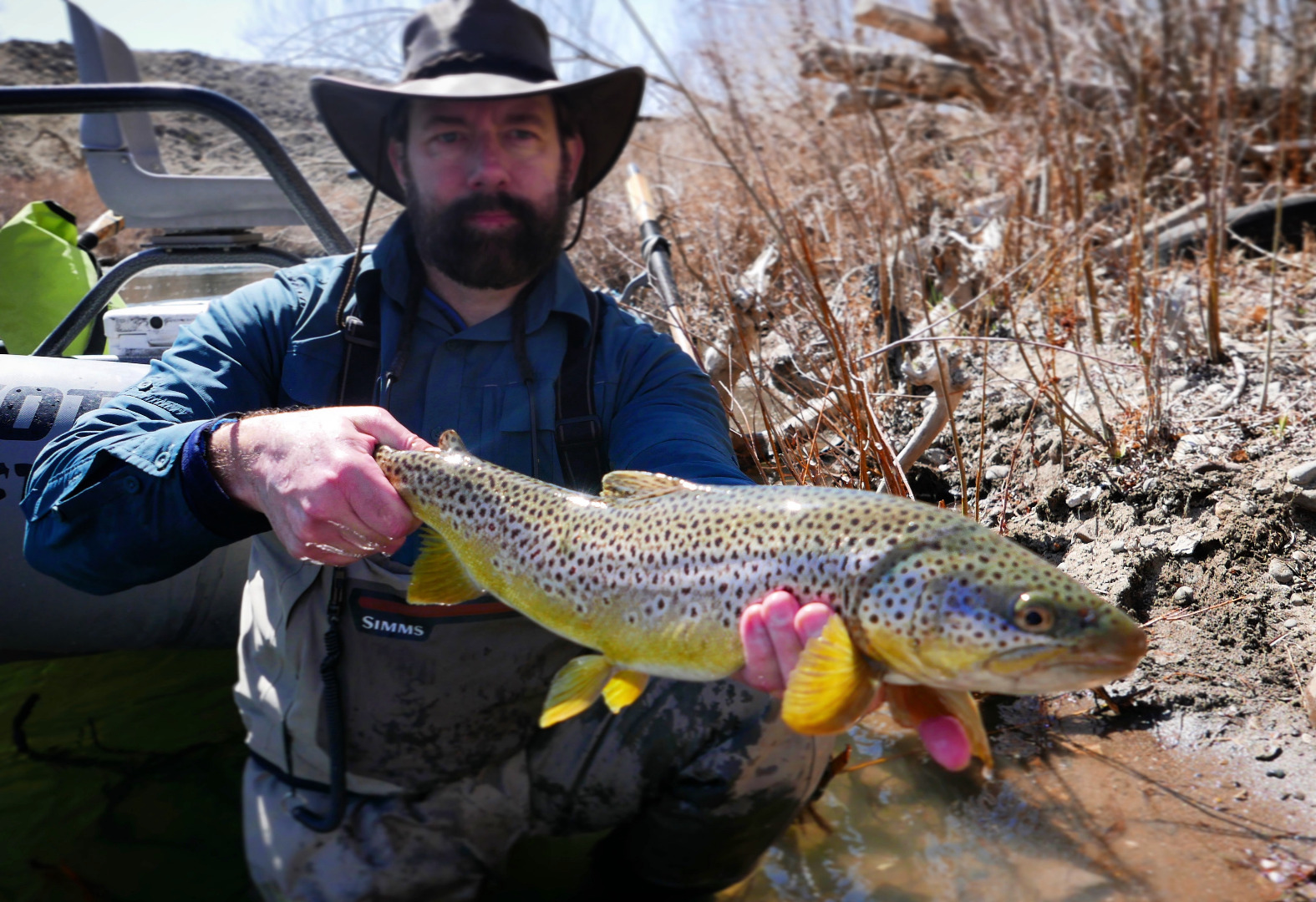 Truckee River Fish Report