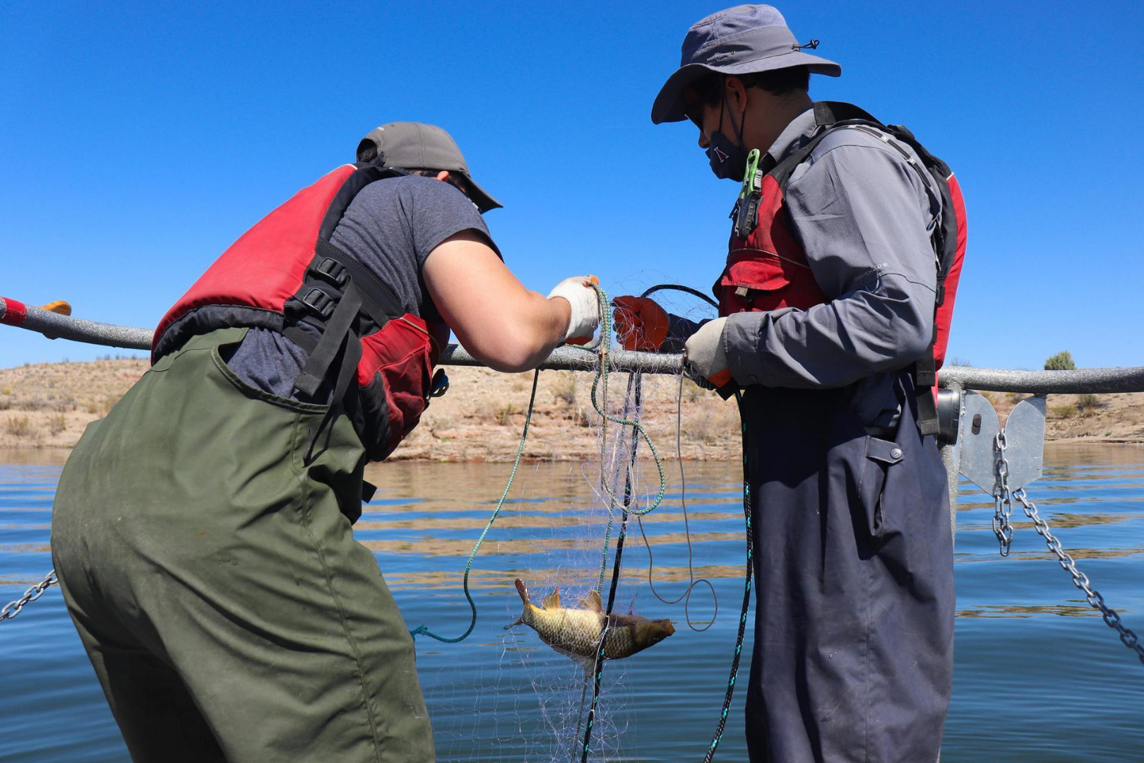 Alamo Lake Fish Report Wenden, AZ (La Paz County)