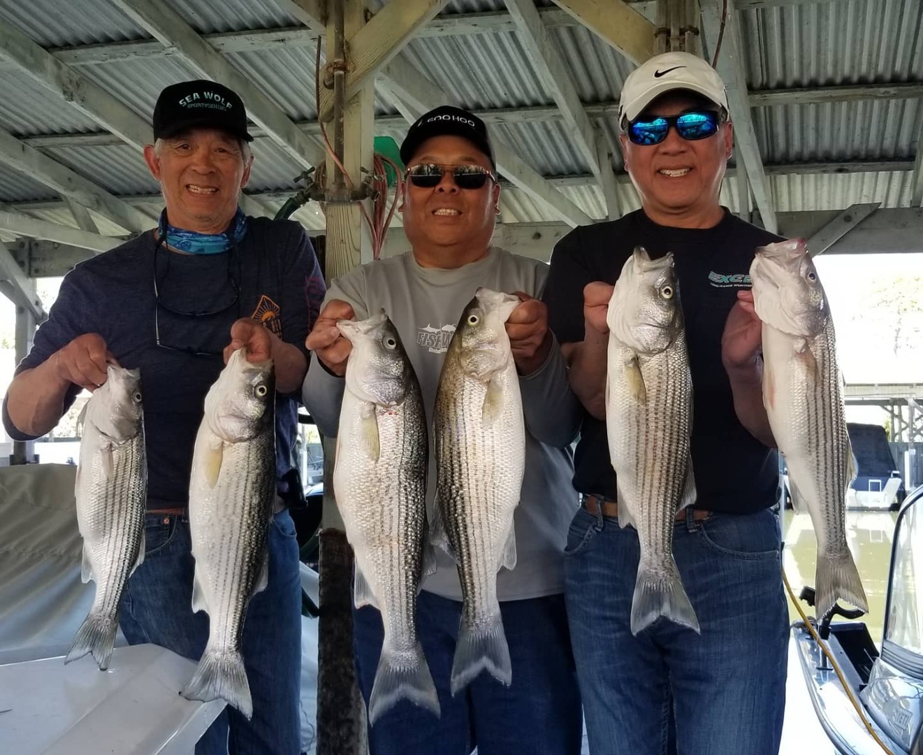 Sacramento River Fish Report - CA