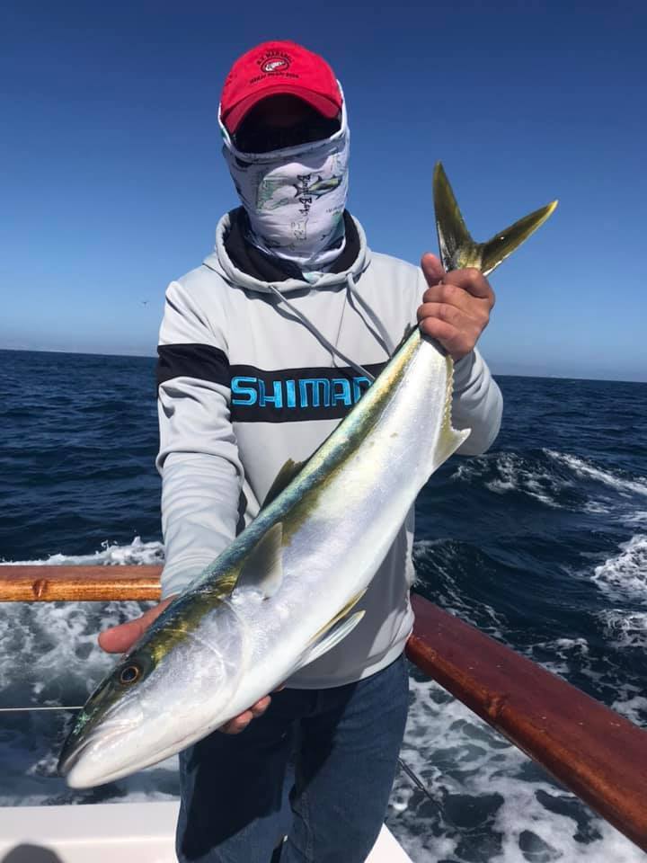 San Diego Fish Report - Fish Report - Bluefin on The San Diego Today -  April 30, 2021