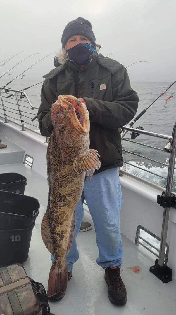 Lingcod on The Bite!