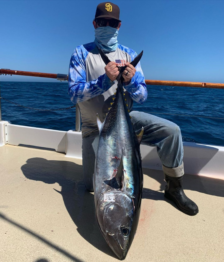 San Diego Fish Report - Fish Report - Bluefin on The San Diego