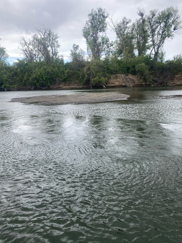 Sacramento River fishing report