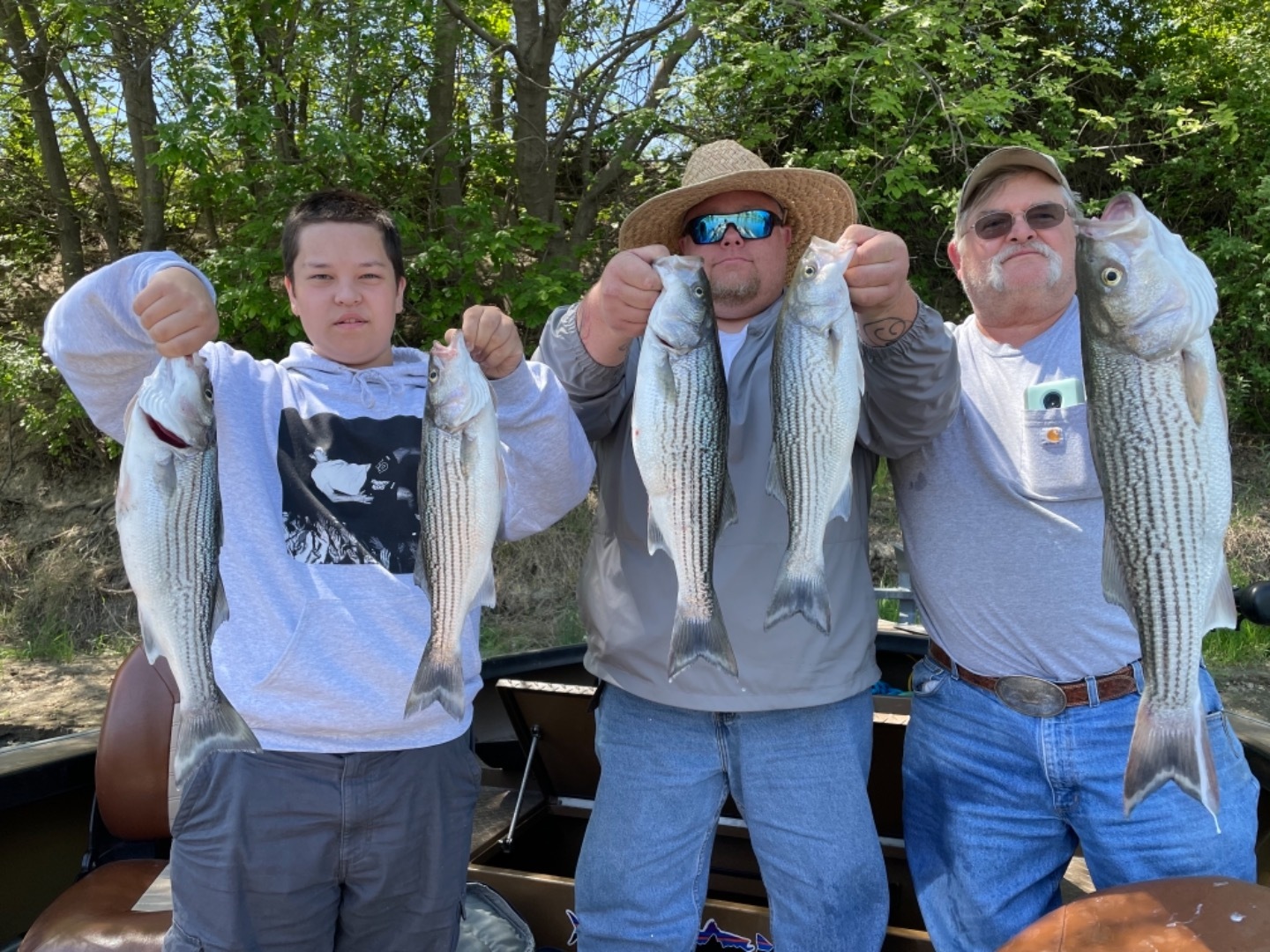 Striped Bass Sacramento River