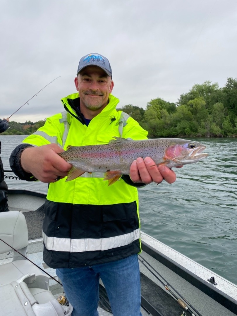 Sacramento River Wild Rainbow Trout