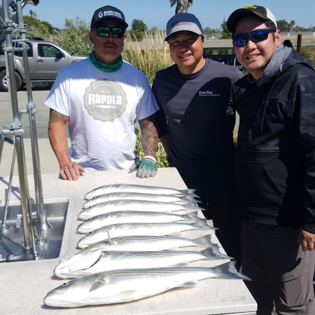 Fighting the WIND and FISH