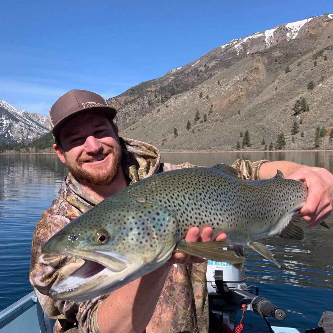 falcon lake fishing planet brown trout