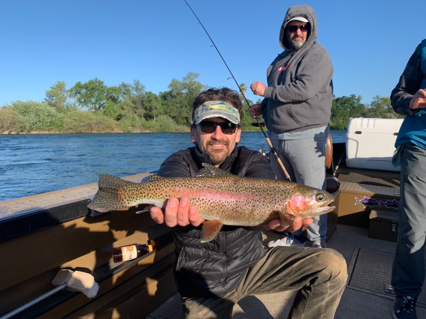 Wild Rainbow Trout on the Sacramento River 