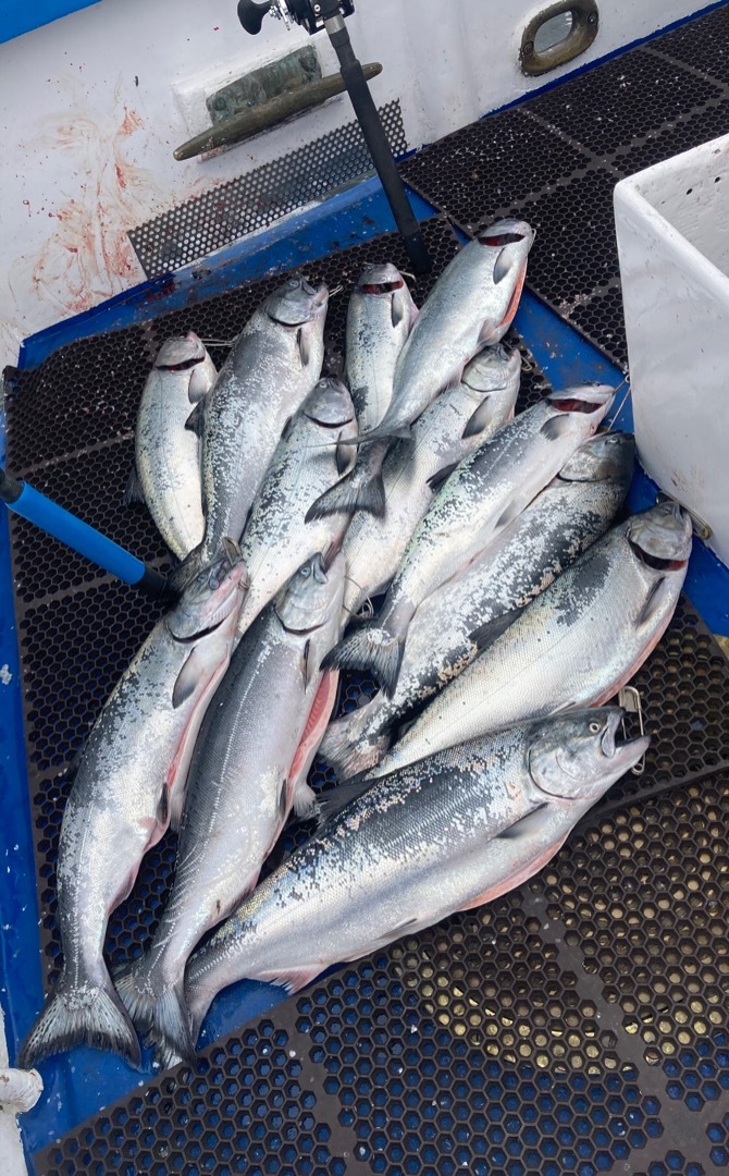 Flat calm salmon fishing 