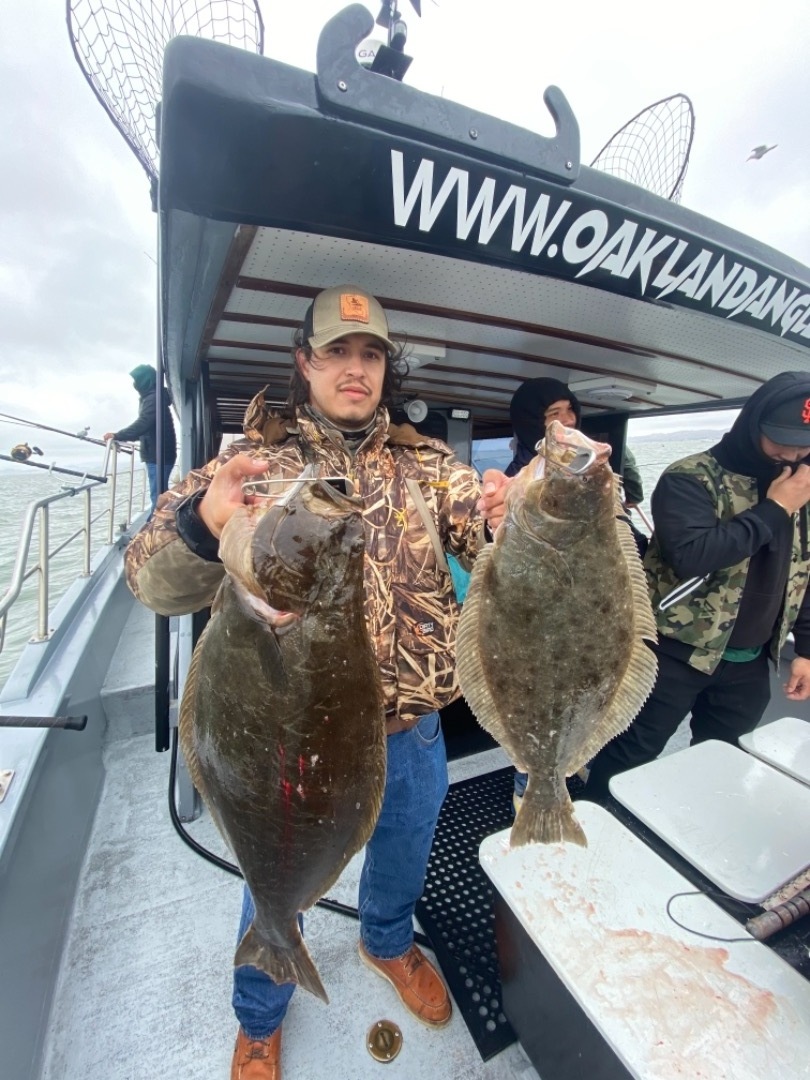 Halibut in the Bay