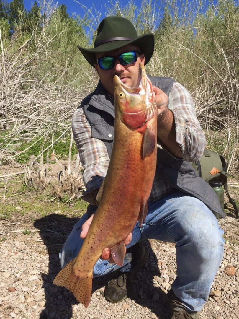 Indian Creek Reservoir - Markleeville, CA - Fish Reports & Map