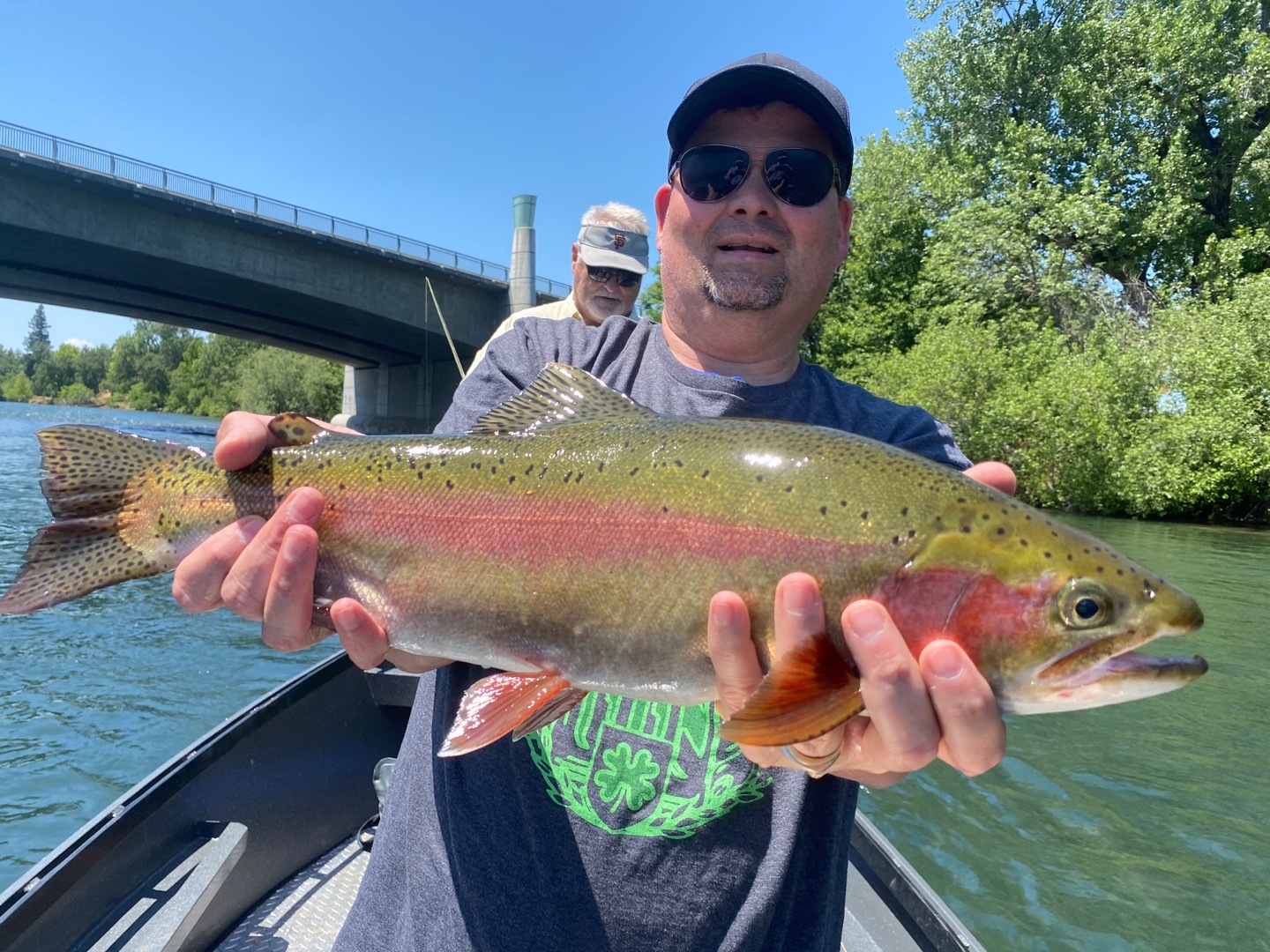 Sac River rainbows on the fly!