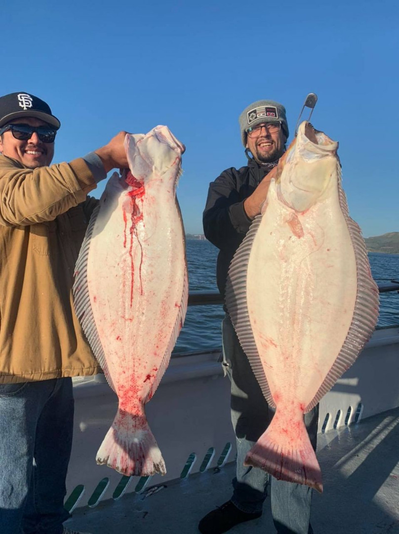 BIG Halibut Today