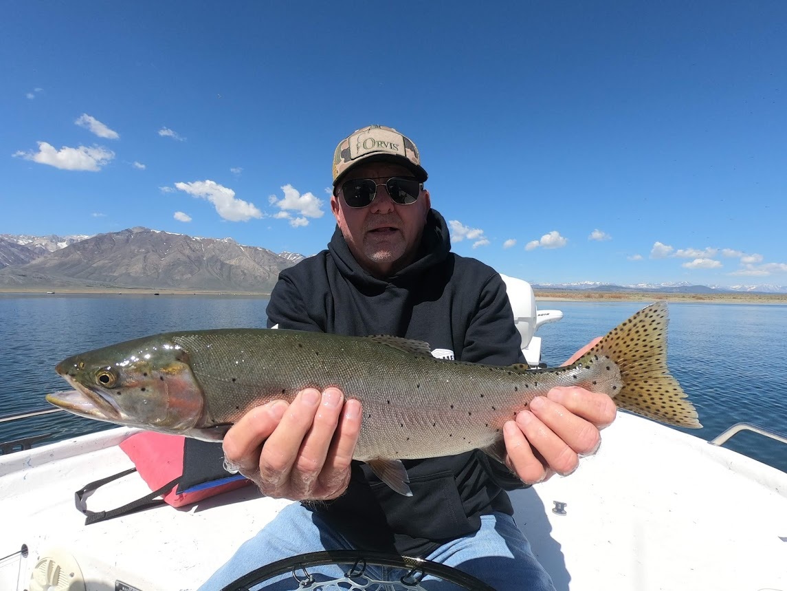 Crowley Lake Fish Report - Mammoth Lakes, CA (Mono County)