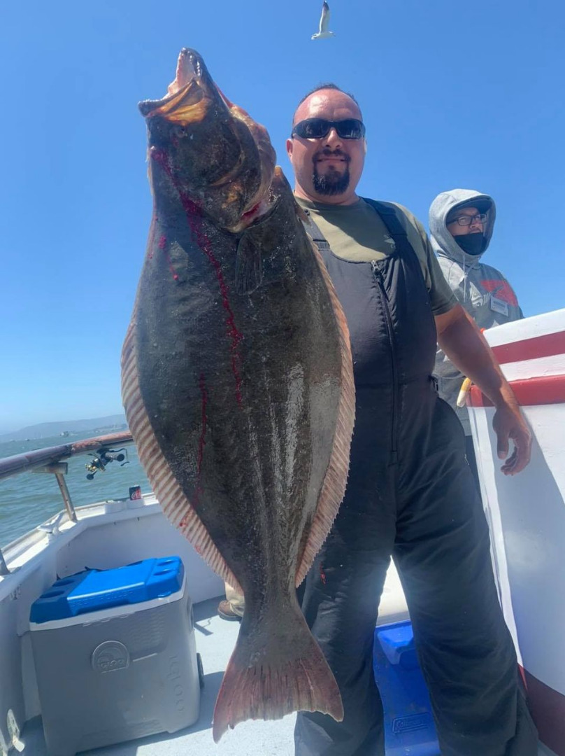 Halibut up to 30 Pounds