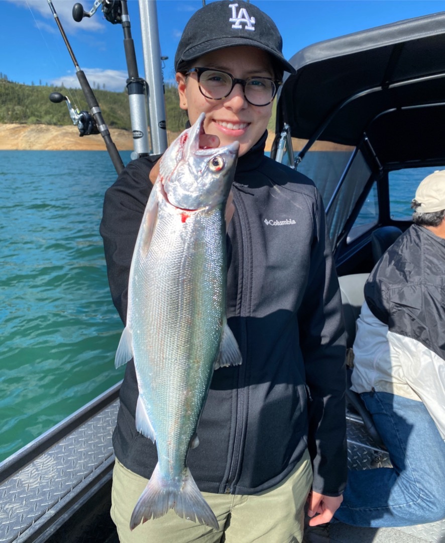 Shasta Lake mixed bag again today!