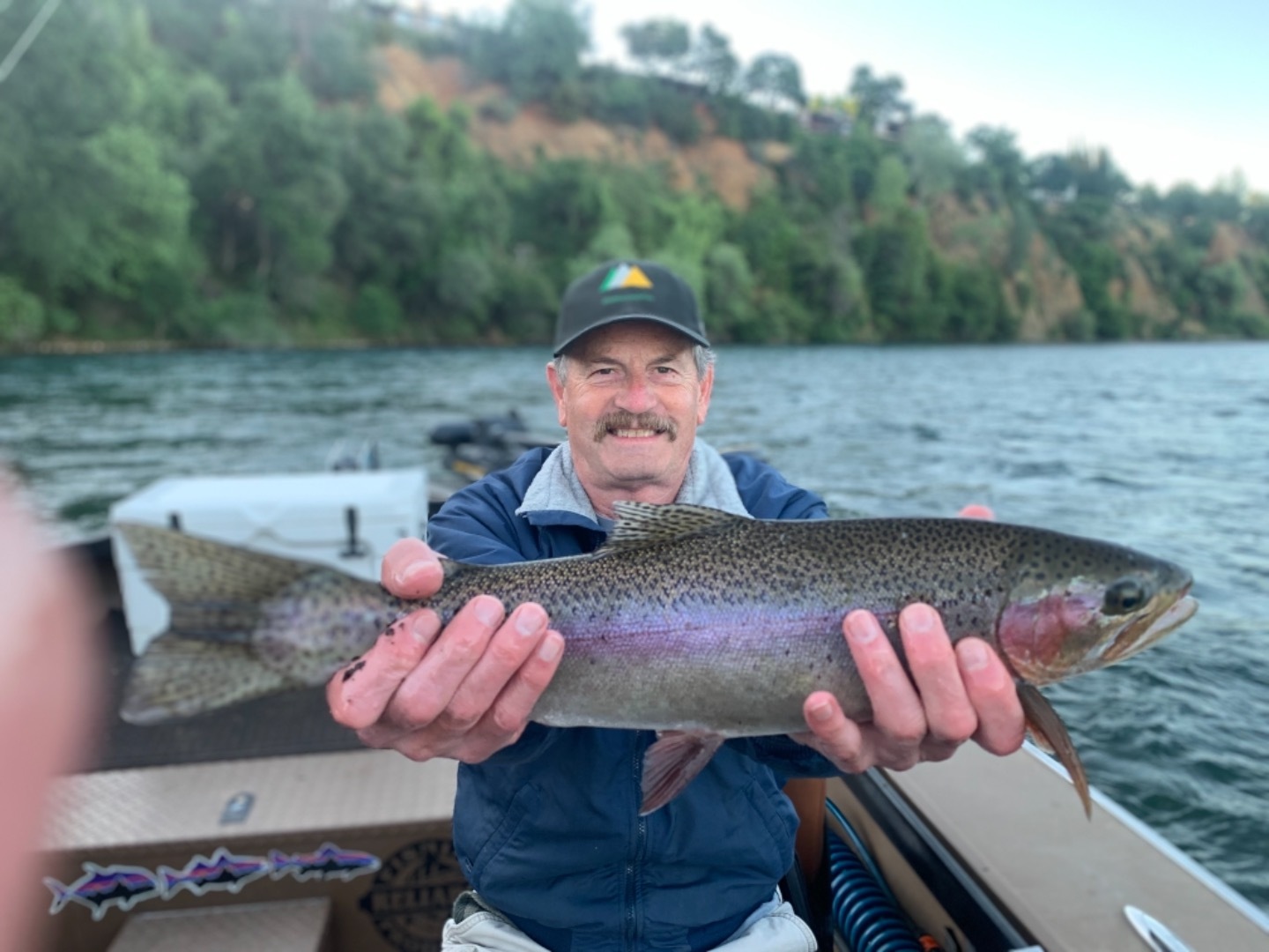 Big Sacramento River Rainbow Trout