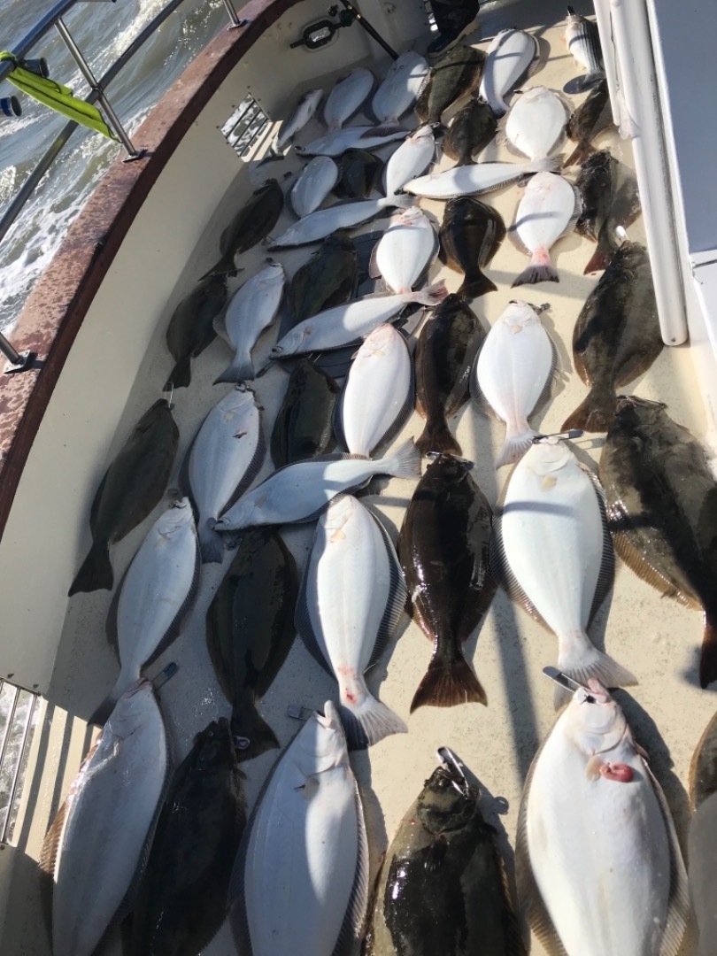 Great halibut fishing