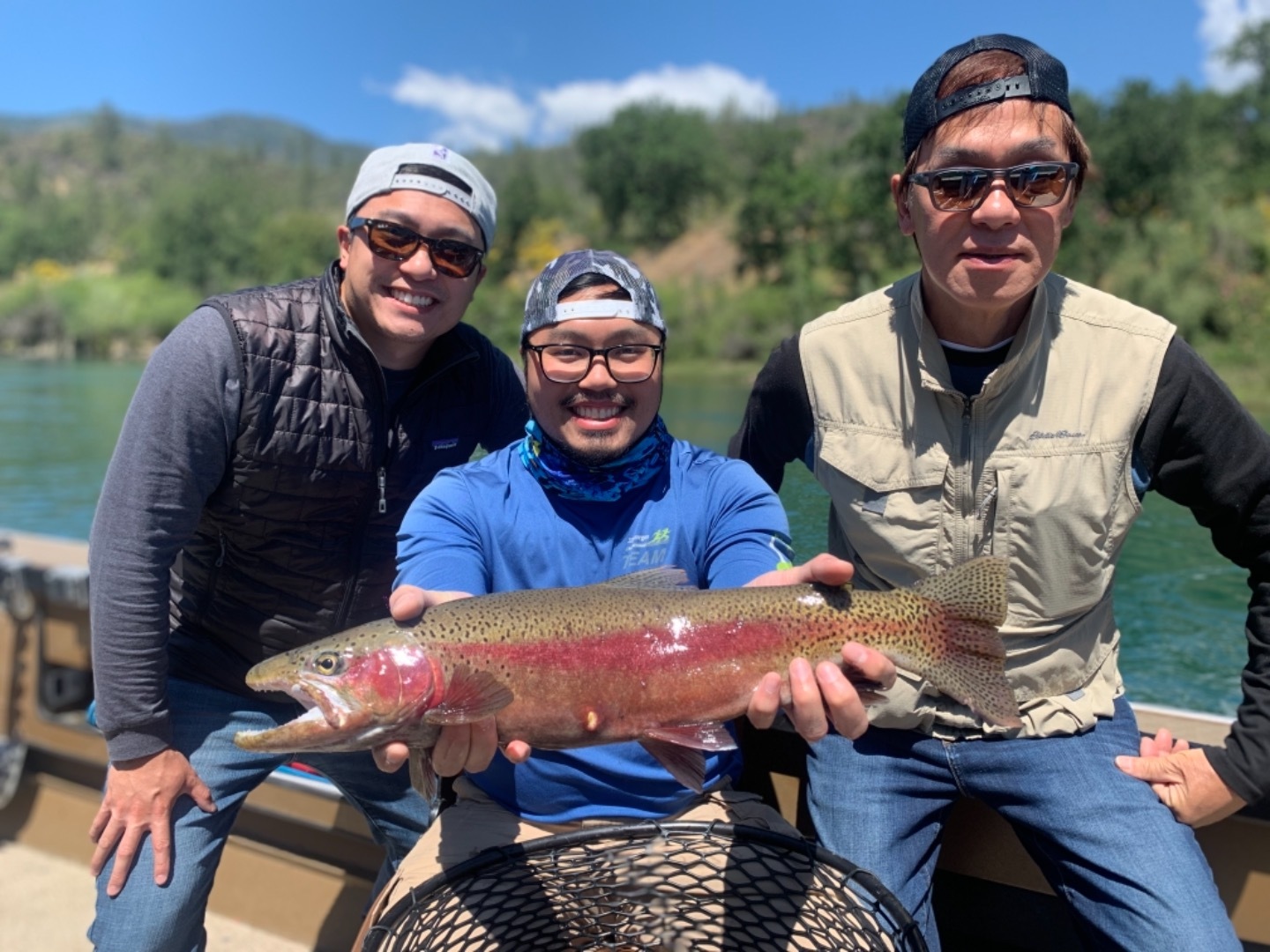 Giant Rainbow Trout 