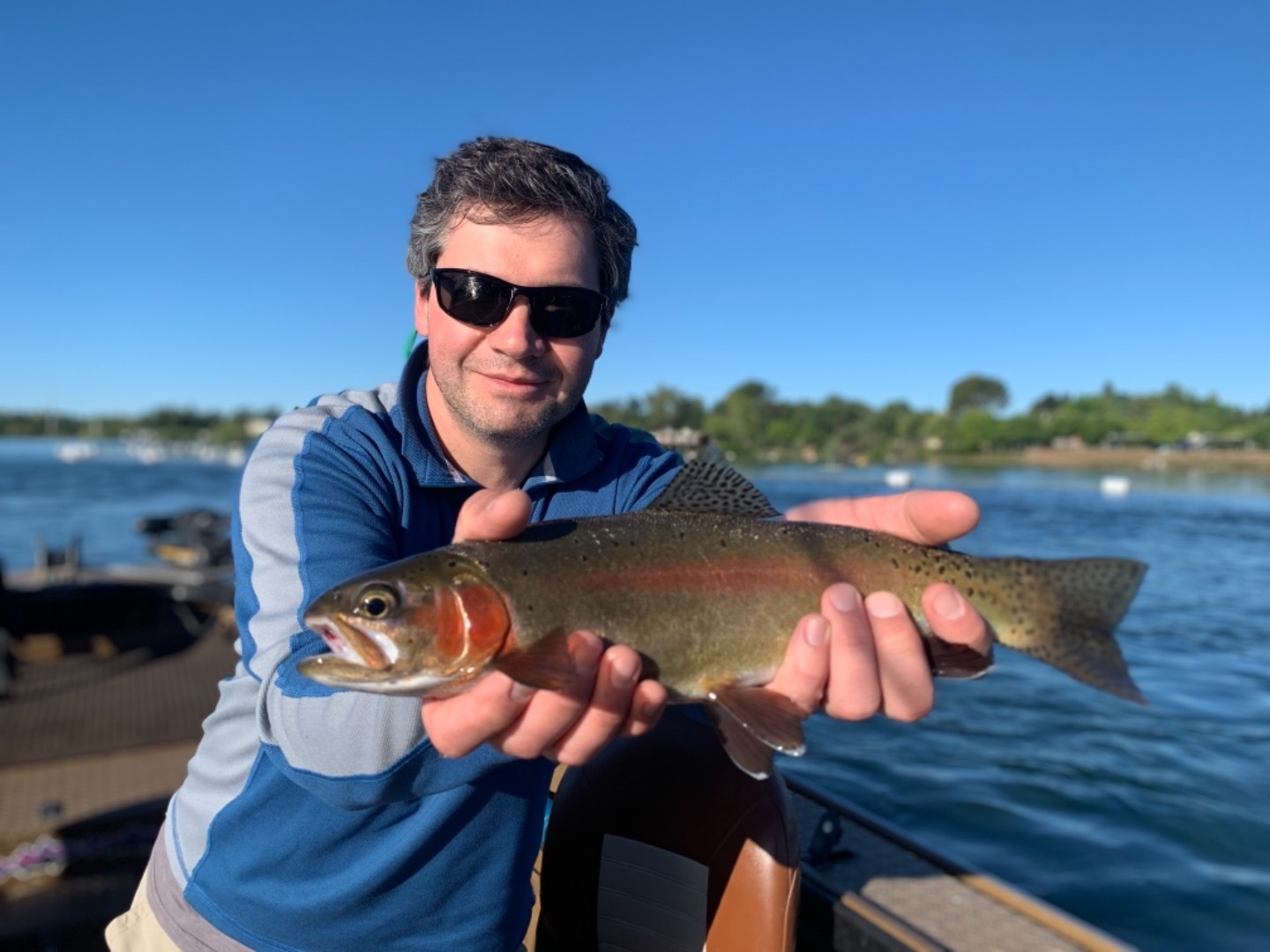 Wild Rainbows on the Sacramento River