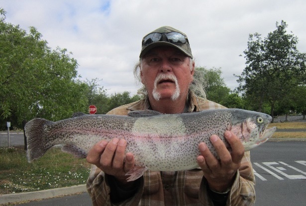 5.6 lb. Rainbow